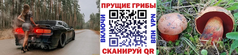 Галлюциногенные грибы мухоморы  Губаха 