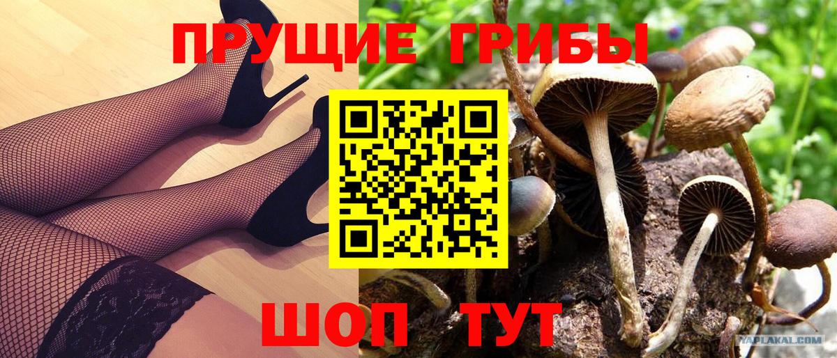 Псилоцибиновые грибы мицелий  Вход с VPN  Губаха 